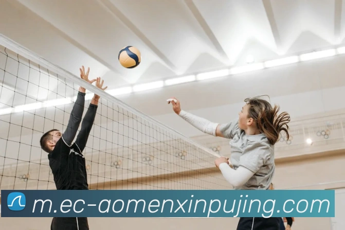 新葡京娱乐APP 封面图